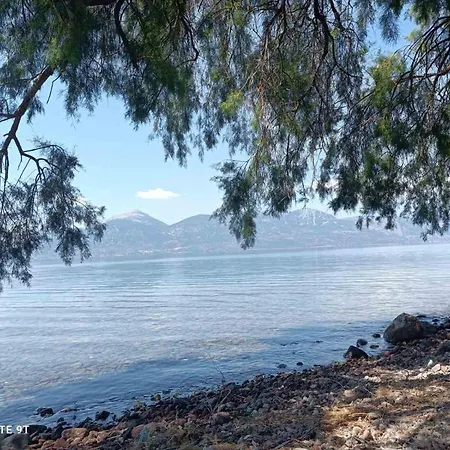 Almyriki Methana